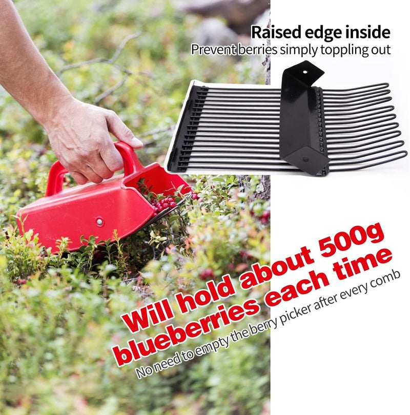 LFSEMINI Berry Picker, 4 Pack Berry Pickers and Rakes with Metallic Comb and Ergonomic Handle for Easier Berry Picking, Blueberry Rake Scoop for Blueberries, Lingonberries and Huckleberries - Image 4